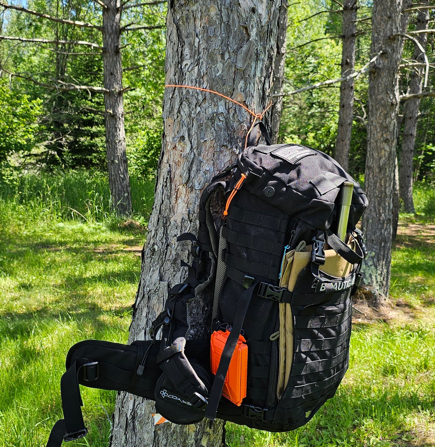Twig Saver Gear Hook
